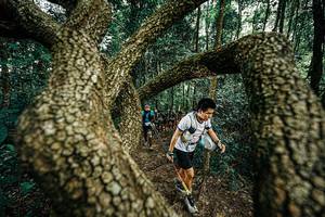 BIB: 
                            <button type="button" onclick="openModal(25393124)" class="btn btn-primary btn-sm float-right btn-popup" data-toggle="modal" data-target=".modal-high-quality">
                        <i class="fas fa-shopping-cart"></i> Add to Cart
                    </button>
                                            <button type="button" onclick="isThisMe(25393124, true)" class="btn btn-success btn-sm float-right btn-popup btn-isme hidden" data-toggle="tooltip" data-placement="bottom" title="นี่คือรูปของคุณใช่ไหม คลิกที่นี่เพื่อเอาเข้าอัลบั้ม">
                        <i class="fas fa-plus"></i> Add to album
                    </button>
                    <button type="button" onclick="isThisMe(25393124, false)" class="btn btn-warning btn-sm float-right btn-popup btn-isnotme hidden">
                        <i class="fas fa-ban"></i> Remove from album
                    </button>